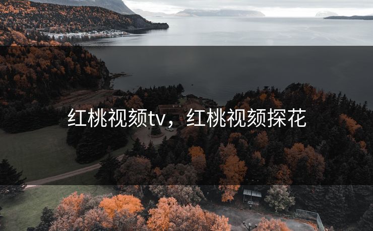 红桃视颏tv，红桃视颏探花
