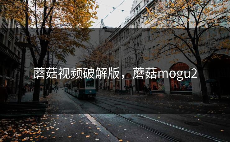 蘑菇视频破解版，蘑菇mogu2