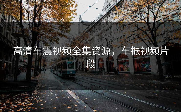 高清车震视频全集资源，车振视频片段