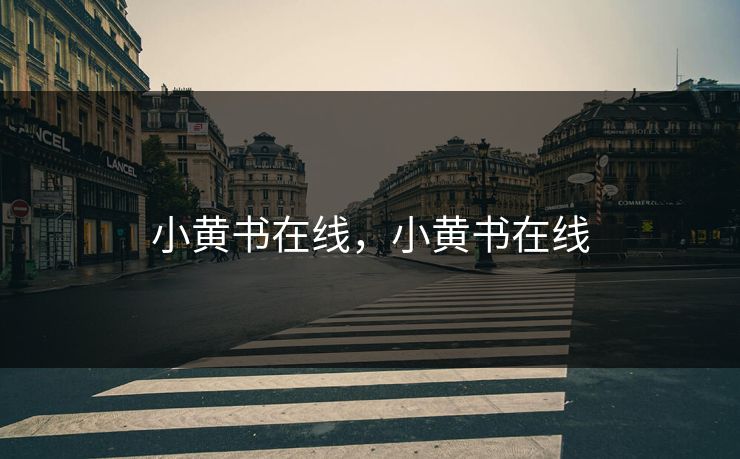 小黄书在线，小黄书在线